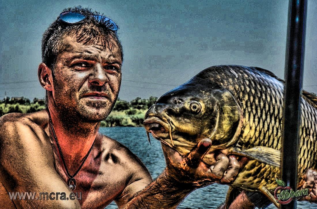 MeetCarp Romanian Awards 2013 (2) - 1017177hdrmode2-2.jpg